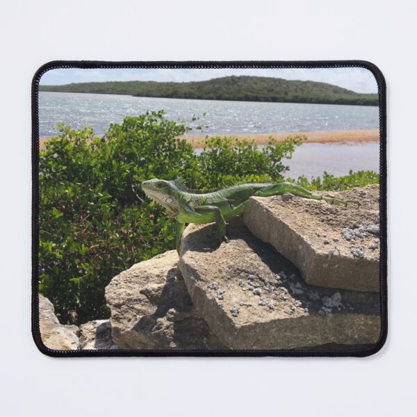Item preview, Sargassum Seaweed in an Iguana's day designed and sold by USCOLstore.