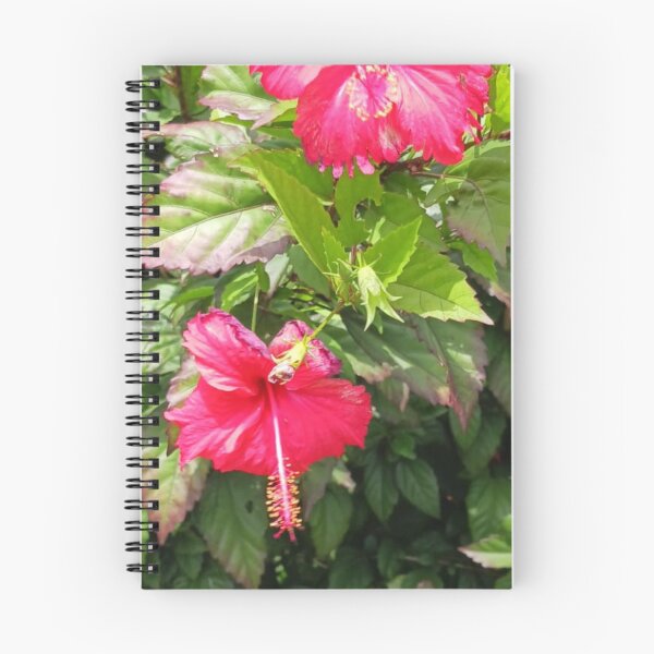 Item preview, Hibiscus scene 2  designed and sold by USCOLstore.