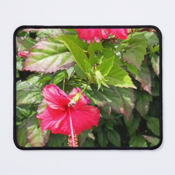 Item preview, Hibiscus scene 2  designed and sold by USCOLstore.