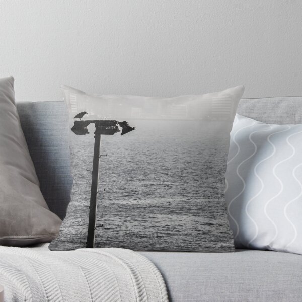 Item preview, Crow in the panorama of Izmir (Turkey) designed and sold by carlotoffolo.
