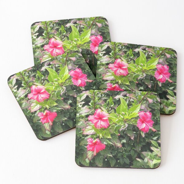 Item preview, Hibiscus garden scene designed and sold by USCOLstore.