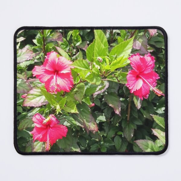 Item preview, Hibiscus garden scene designed and sold by USCOLstore.