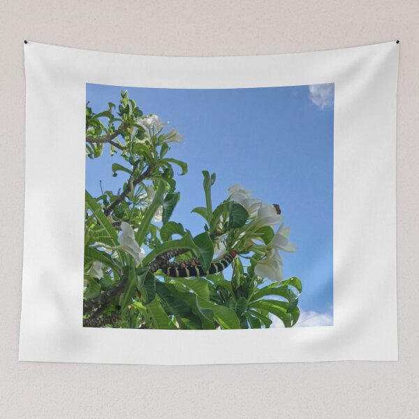 Item preview, The sky is the limit designed and sold by USCOLstore.