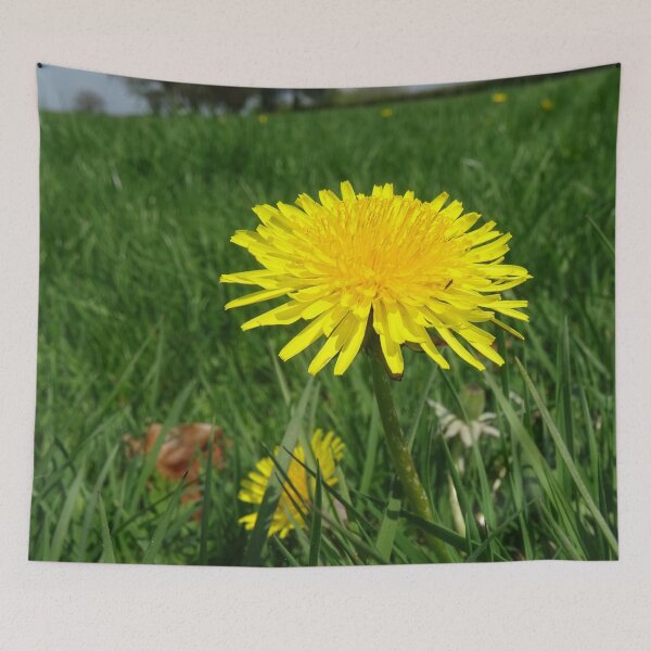 Item preview, The Dandy Dandelion designed and sold by Rorymacve.