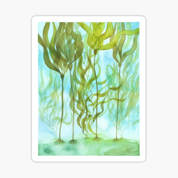 Item preview, Kelp Forest designed and sold by SMHPaperDesigns.