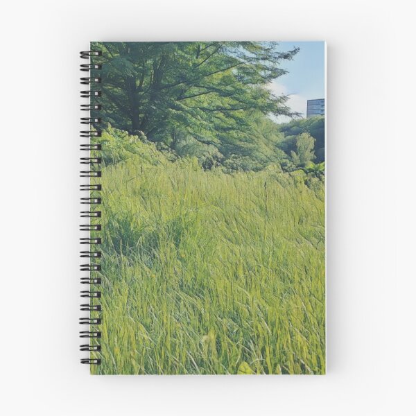 Item preview, #41 Rembrandt Park - Amsterdam Street Photography 22 May 2024 designed and sold by IntFix.