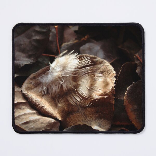 Item preview, Brown And White Striped Feather On Dark Leaves designed and sold by FeatherfallSTU.