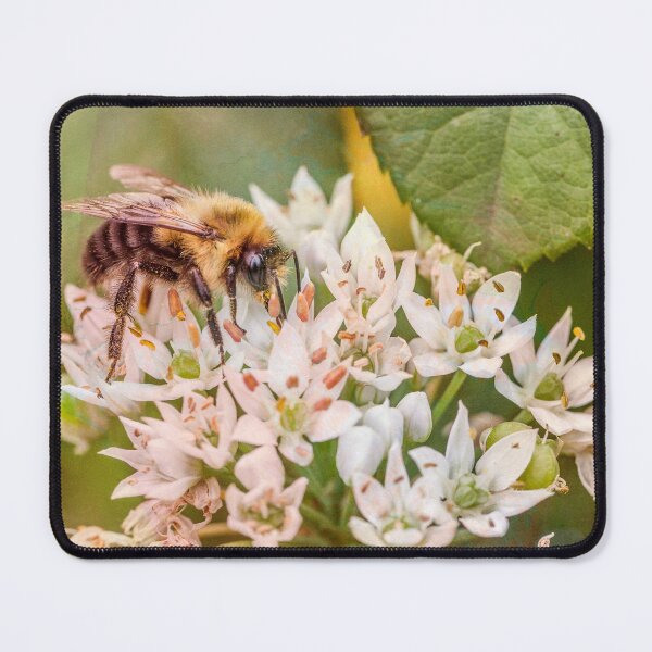 Item preview, Morning Glow designed and sold by Victor Kilman.