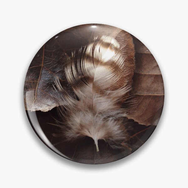 Item preview, Brown And White Striped Feather On Dark Leaves designed and sold by FeatherfallSTU.