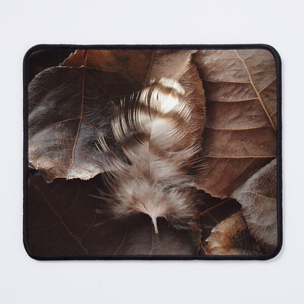 Item preview, Brown And White Striped Feather On Dark Leaves designed and sold by FeatherfallSTU.