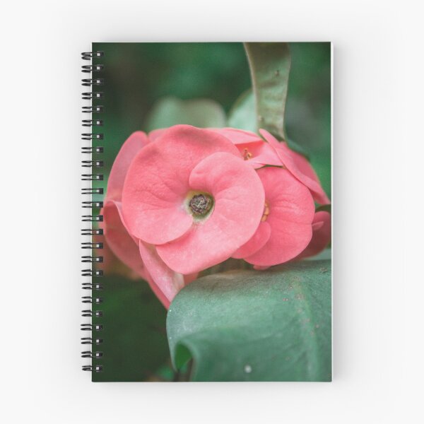 Item preview, Corona de Cristo designed and sold by GraphicBazaar.