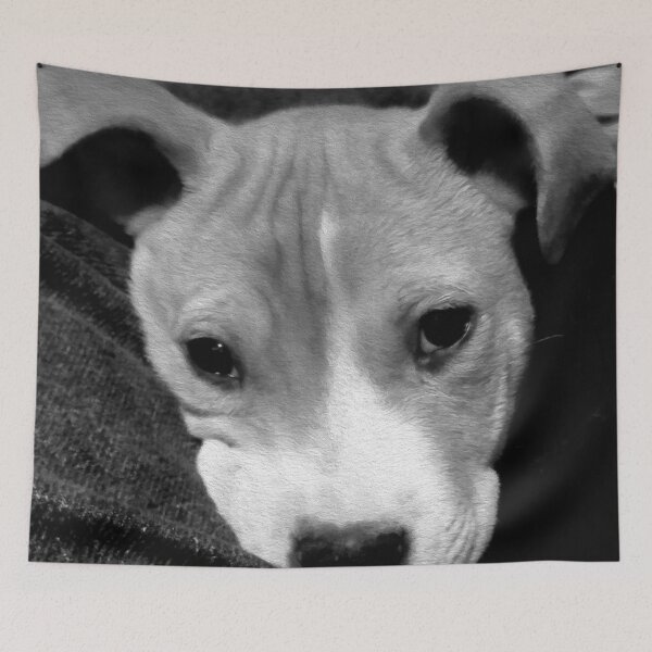 Item preview, Pouty Pittie Puppy designed and sold by PartnersInCrime.