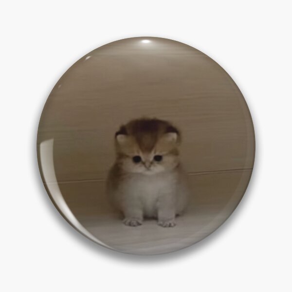 Item preview, Very Small Cute Cat designed and sold by spiderdudejung.