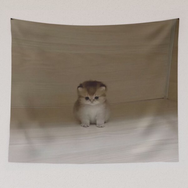 Item preview, Very Small Cute Cat designed and sold by spiderdudejung.