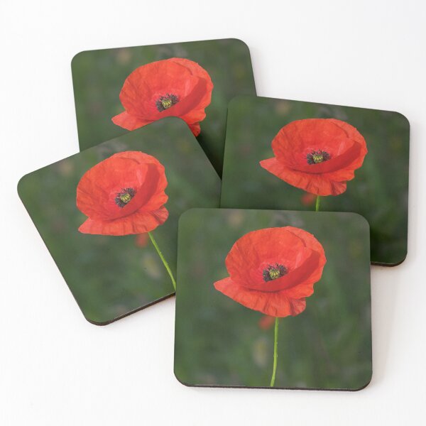 Item preview, Solitary Poppy designed and sold by Tom McPherson Photography.