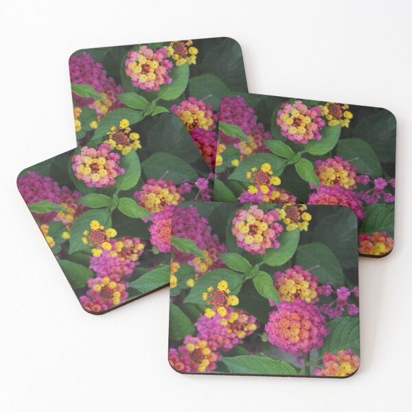 Item preview, Yellow and Pink Lantana designed and sold by PresMatPlays.