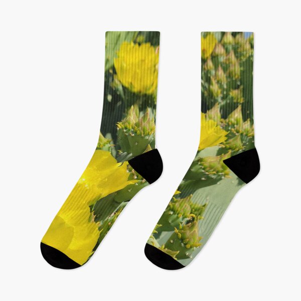 Item preview, abundant yellow prickly pear blossoms designed and sold by River Graphic Design.