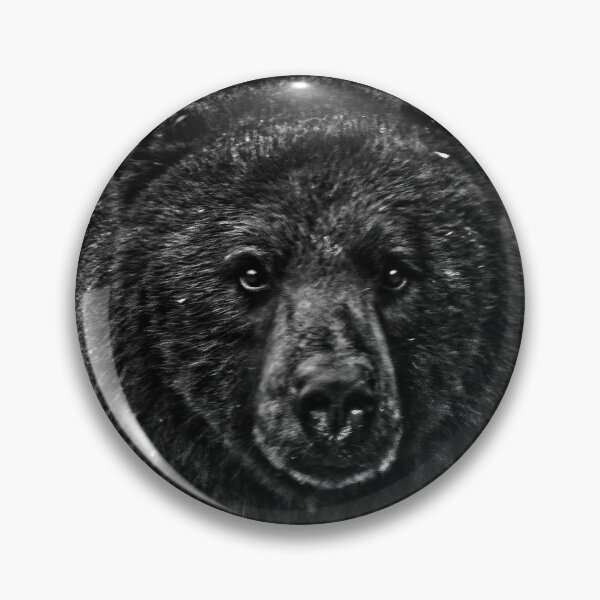 Item preview, Curious Black Bear Photo designed and sold by Natural-Habitat.
