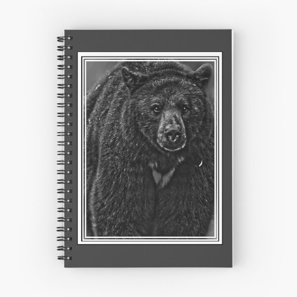 Item preview, Curious Black Bear Photo designed and sold by Natural-Habitat.