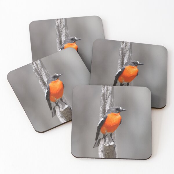 Item preview, Flame Robin  designed and sold by Candy Jubb.