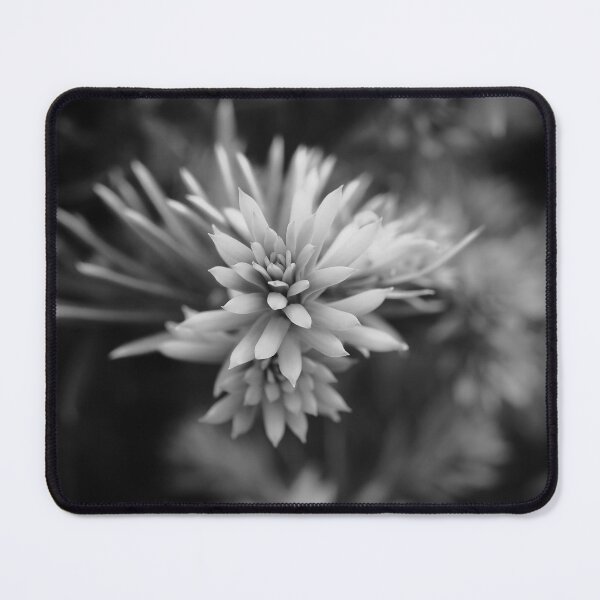 Item preview, Monochrome needles  designed and sold by Cblifeisgood.