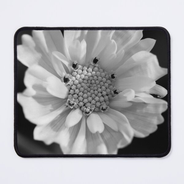 Artikelvorschau, Monochrome Cosmos entworfen und verkauft von Cblifeisgood.