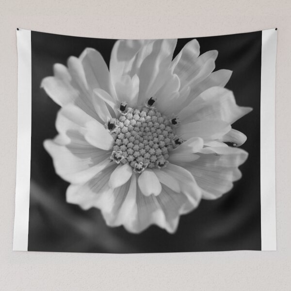 Item preview, Monochrome Cosmos designed and sold by Cblifeisgood.