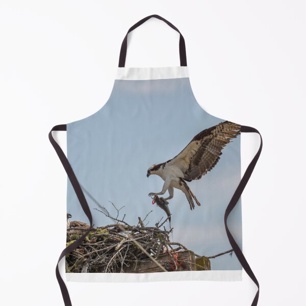 Item preview, Osprey bringing fish designed and sold by Cblifeisgood.