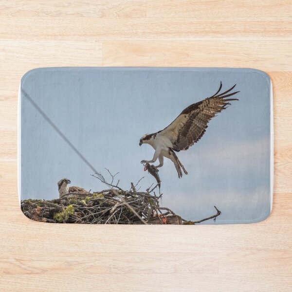 Item preview, Osprey bringing fish designed and sold by Cblifeisgood.