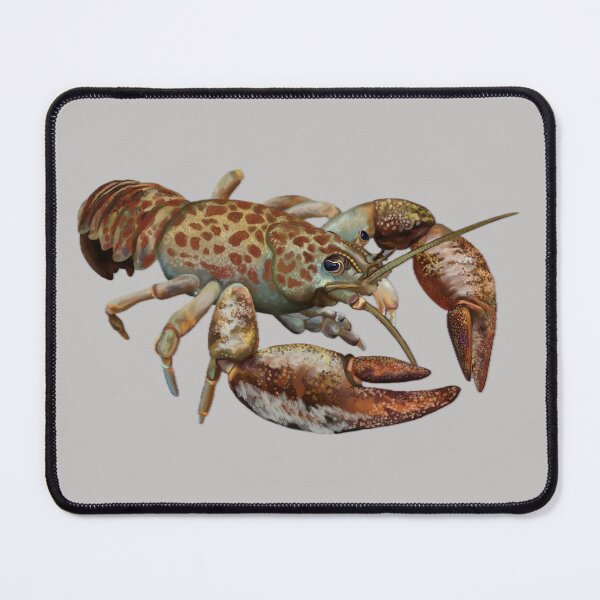 Item preview, Pilose Crayfish designed and sold by Aubree Parkinson.