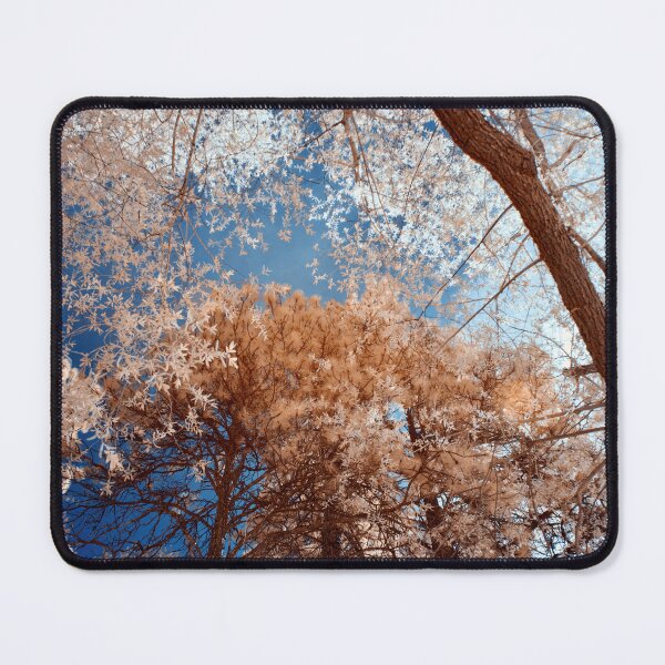 Item preview, Trees from low angle designed and sold by Cblifeisgood.
