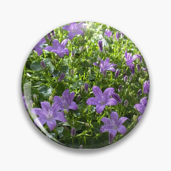 Item preview, Purple Campanula (Trailing Bellflower) Photo designed and sold by A-inProgress.