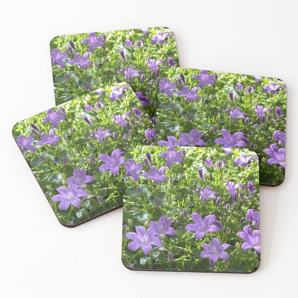 Item preview, Purple Campanula (Trailing Bellflower) Photo designed and sold by A-inProgress.