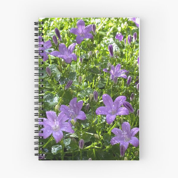 Item preview, Purple Campanula (Trailing Bellflower) Photo designed and sold by A-inProgress.