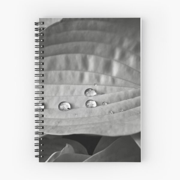 Item preview, Rain on leaf designed and sold by Cblifeisgood.