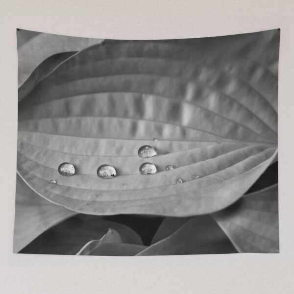 Item preview, Rain on leaf designed and sold by Cblifeisgood.
