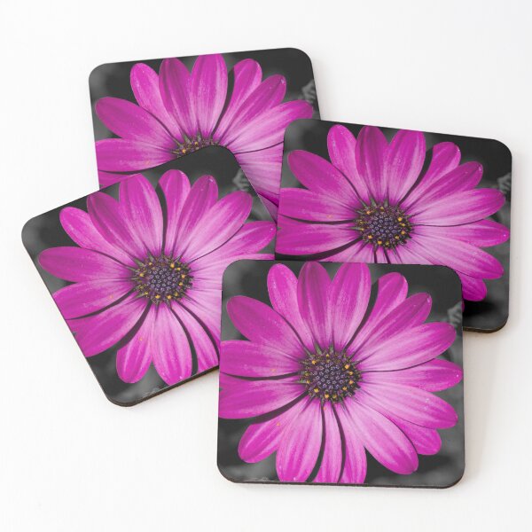 Item preview, African Daisy on black background designed and sold by Cblifeisgood.