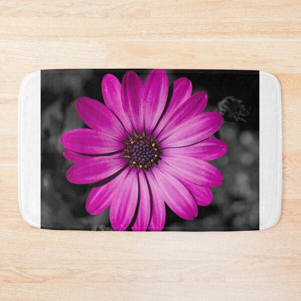 Artikelvorschau, African Daisy on black background  entworfen und verkauft von Cblifeisgood.