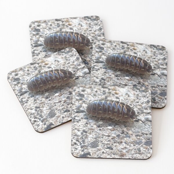Item preview, Pillbug Photo designed and sold by A-inProgress.