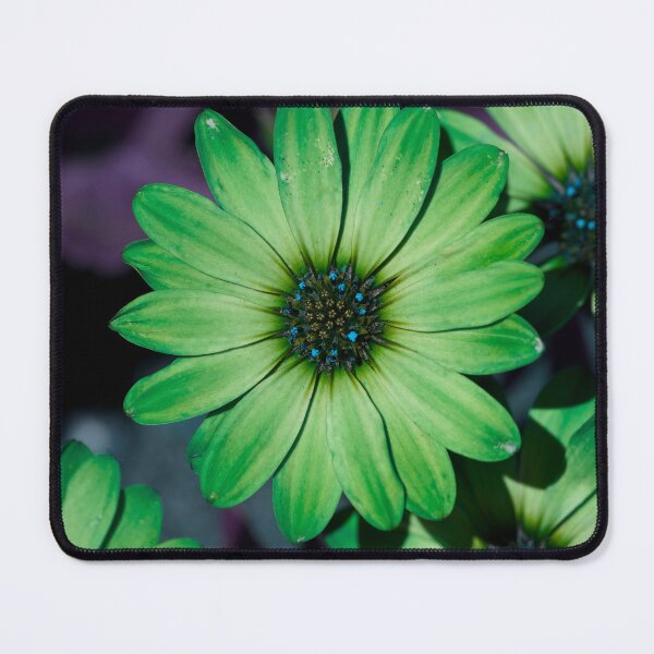 Item preview, False color Daisies  designed and sold by Cblifeisgood.
