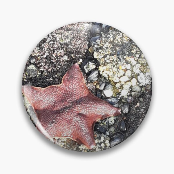 Item preview, The Starfish designed and sold by Skylyght1973.