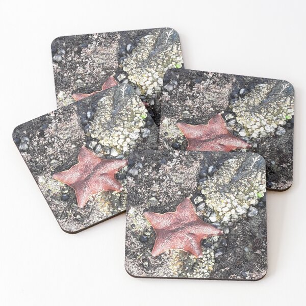 Item preview, The Starfish designed and sold by Skylyght1973.