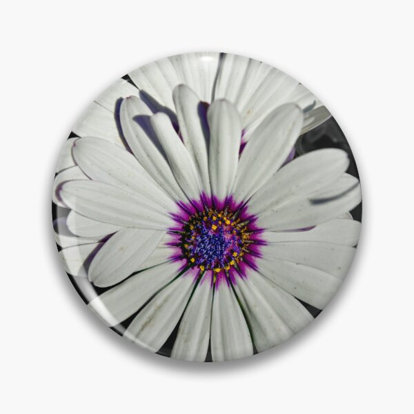 Artikelvorschau, Daisies on black background entworfen und verkauft von Cblifeisgood.