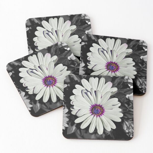 Item preview, Daisies on black background designed and sold by Cblifeisgood.