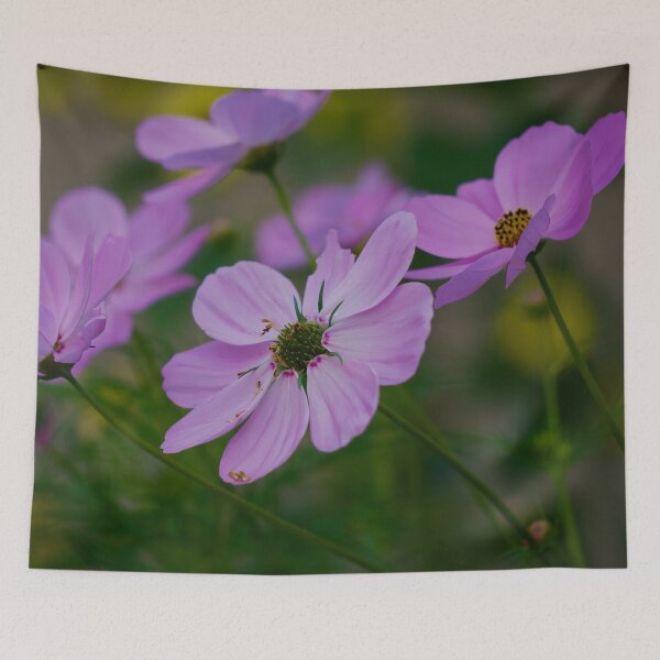 Item preview, Cosmos flowers designed and sold by Cblifeisgood.