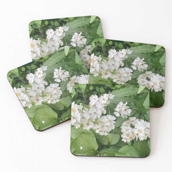 Item preview, White Wild Roses designed and sold by Amanda1775.