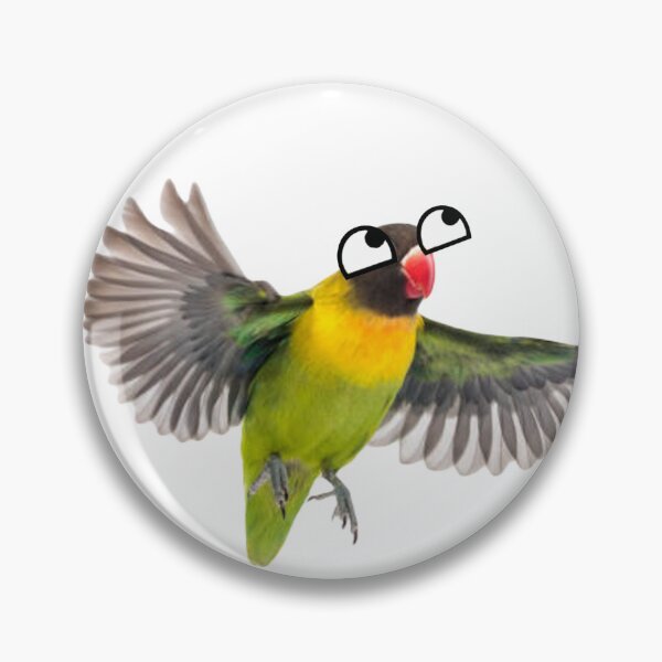 Item preview, Derpy parakeet  designed and sold by SillyLittleSnek.