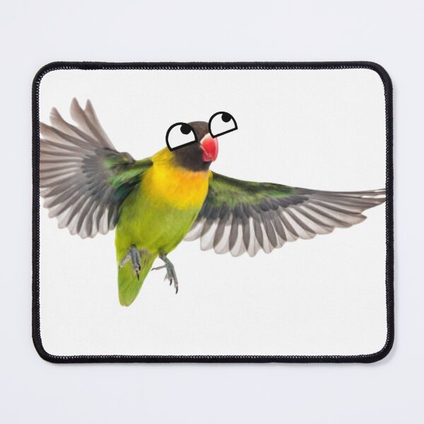 Item preview, Derpy parakeet designed and sold by SillyLittleSnek.