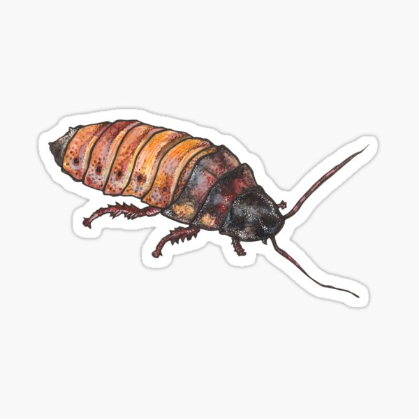 Creepy Crawlies Pattern: Madagascar Cockroaches, Geckos, and Maggots in beige Sticker