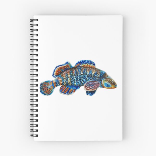 Item preview, Rainbow Darter  designed and sold by Aubree Parkinson.